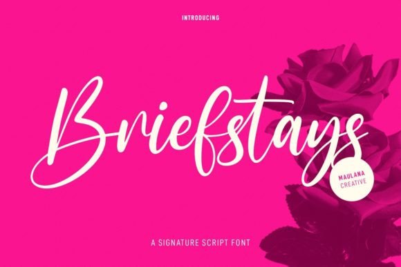 Briefstays Font for Web Design