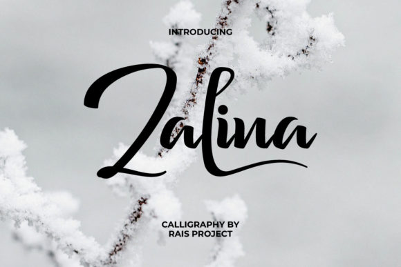 Zalina Font for Creative Projects